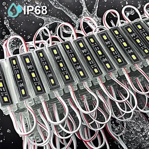 DC12V Outdoor Waterproof IP68 Single Color LED Module Light